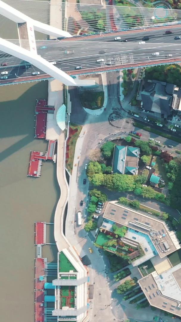 引桥上海南浦大桥视频的预览图