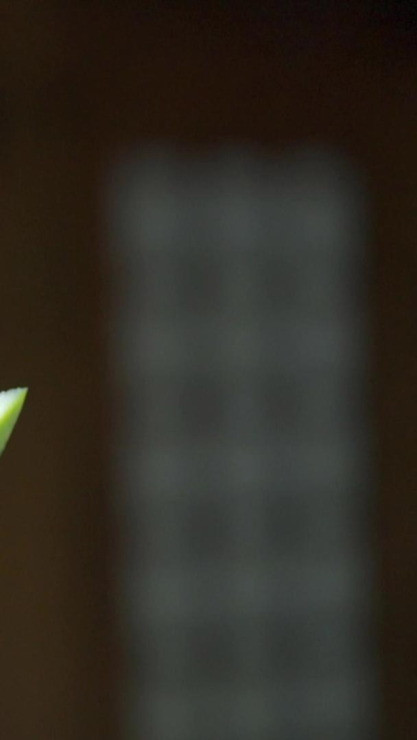 一个闪亮的西瓜在阳光下举起视频的预览图