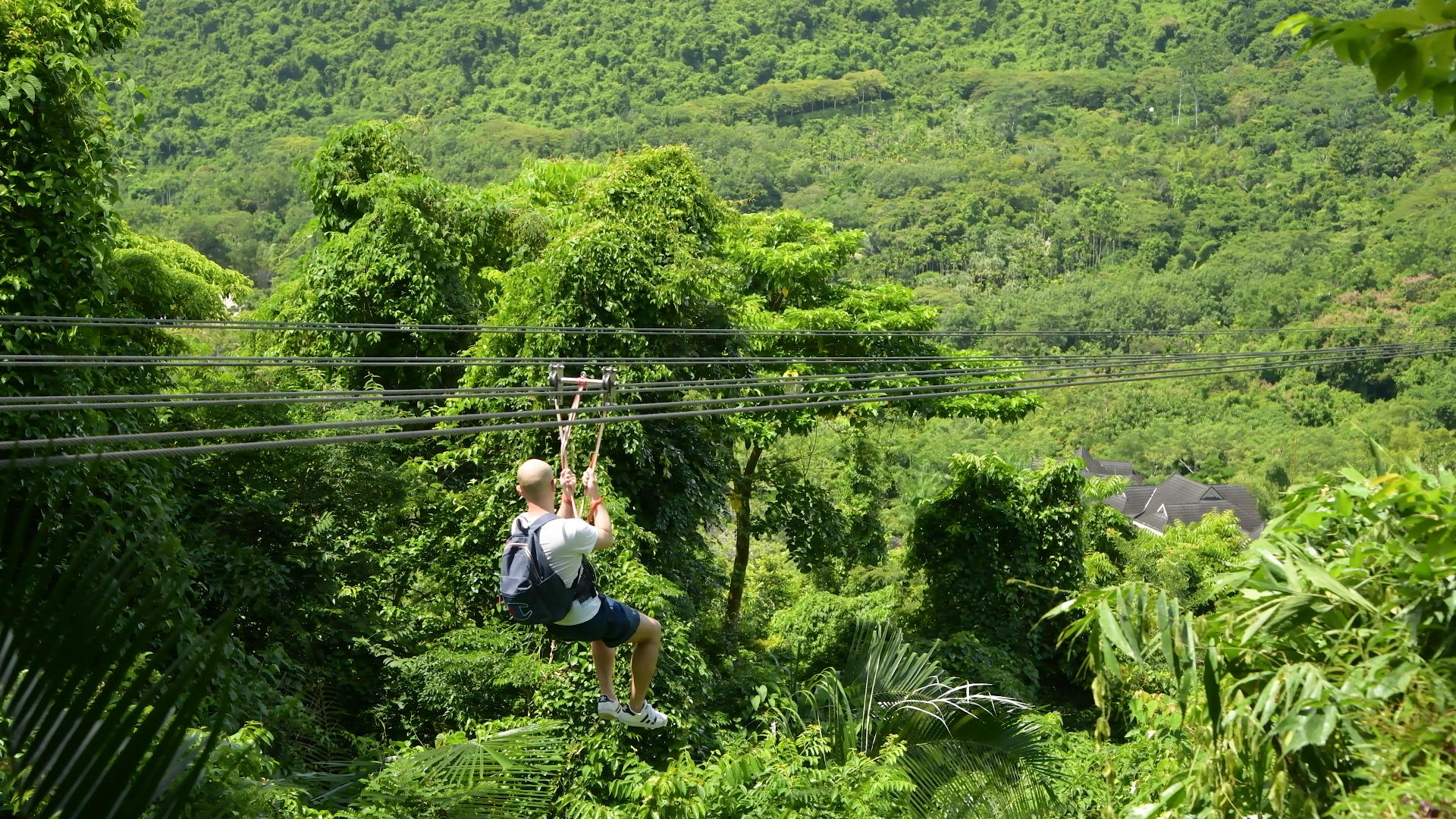 4K海南三亚呀诺达雨林景区的高空滑索视频的预览图