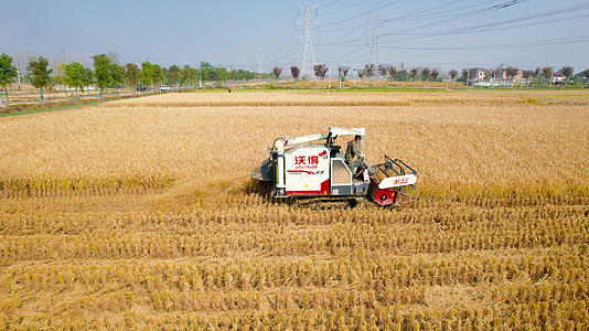 4K航拍农业农田秋收农业机械化收割机水稻丰收视频的预览图