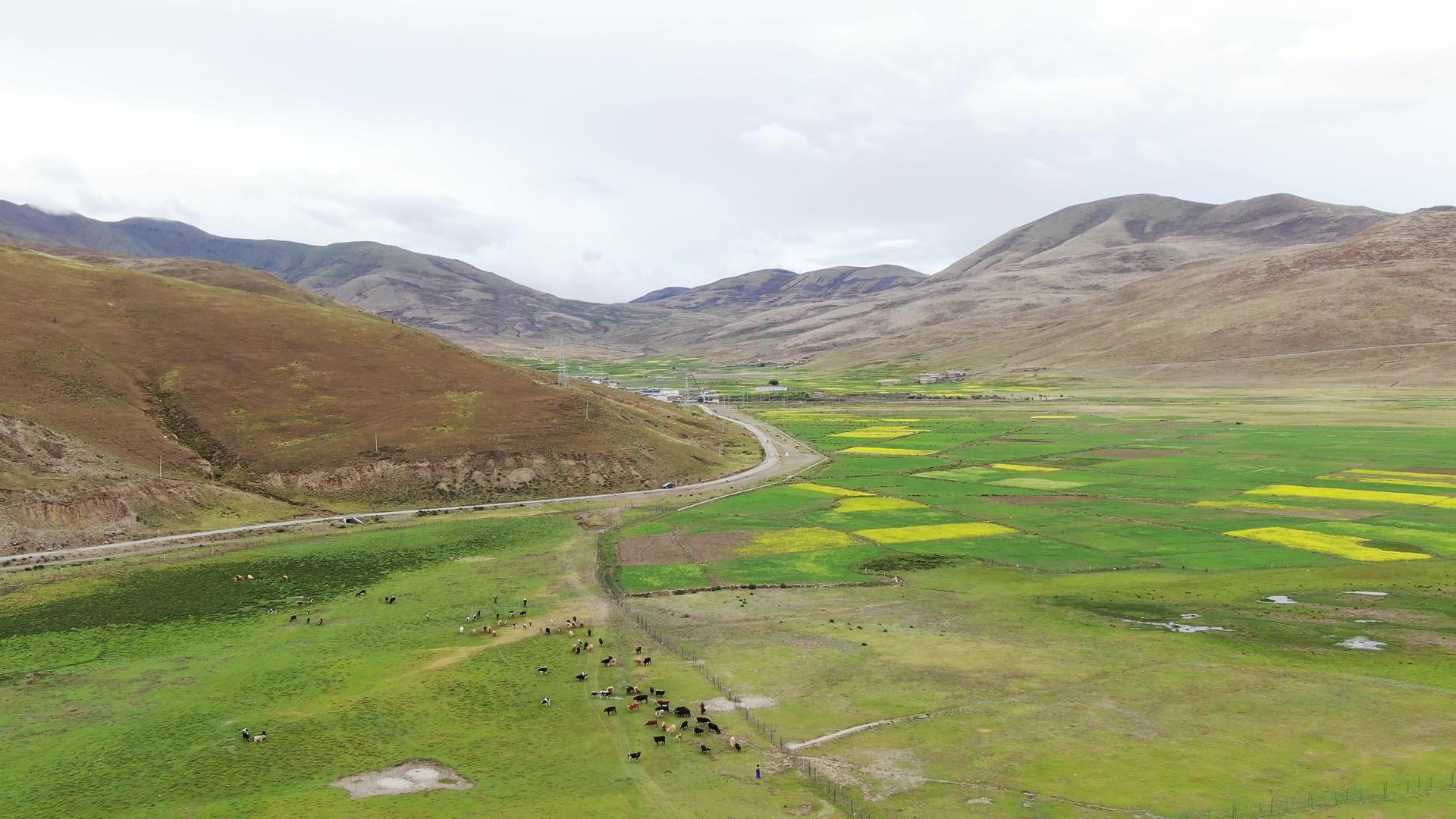 航拍西藏高原视频的预览图