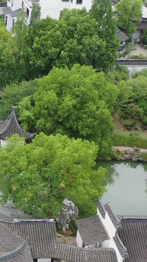 苏州静思园中国古典园林风光视频的预览图
