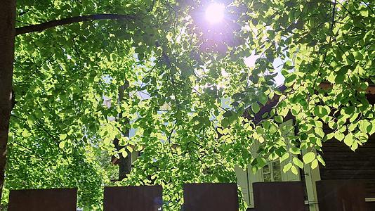 小木屋篱笆栅栏阳光透过树叶洒下来视频的预览图