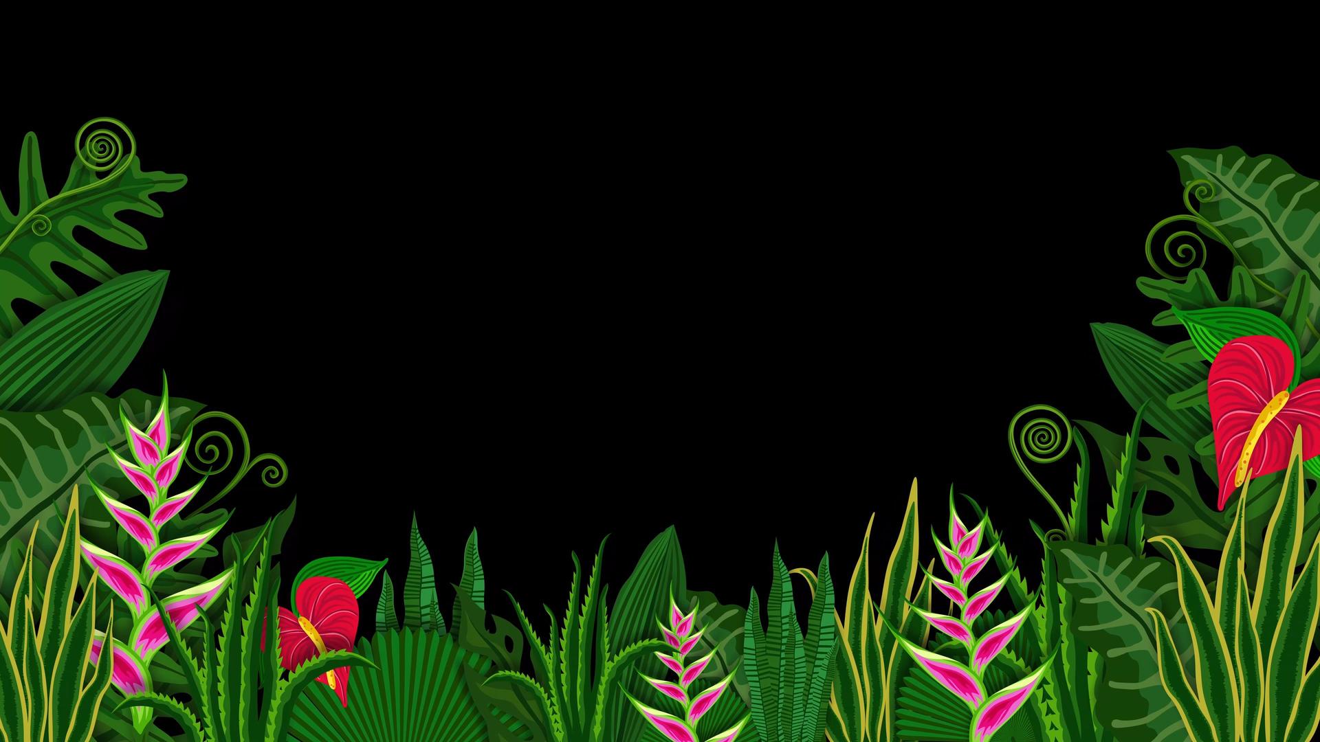 植物生长边框动态素材视频的预览图
