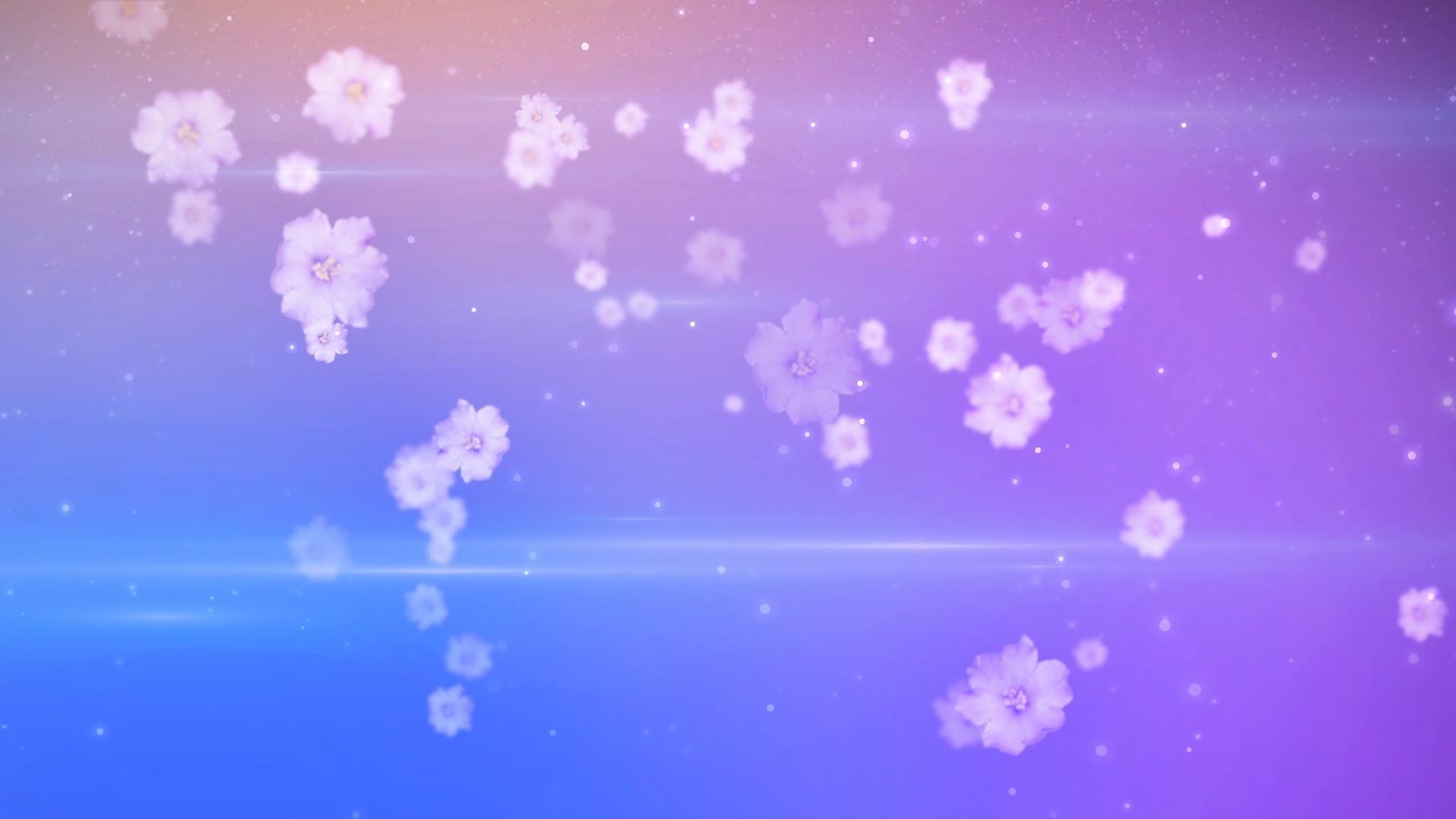 唯美花朵飘落背景视频的预览图