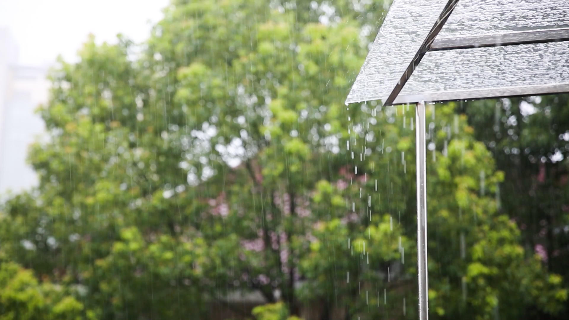 雨棚滴下的雨帘视频的预览图