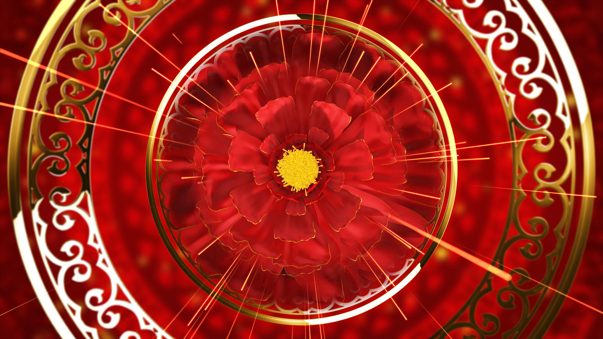 大唐盛世牡丹花背景循环4K视频的预览图