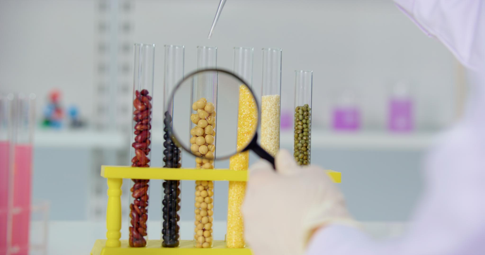 8K实验室使用放大镜观察滴管滴入黄豆视频的预览图