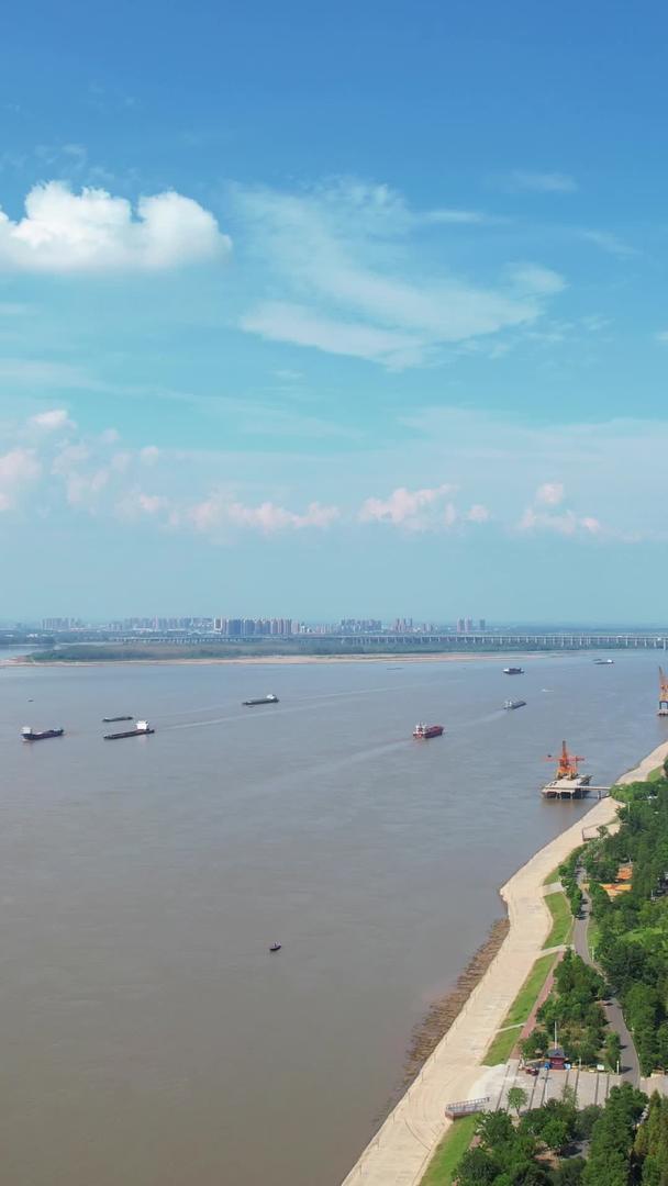 航拍城市蓝天白云晴天长江江景江滩公园绿化广场素材视频的预览图