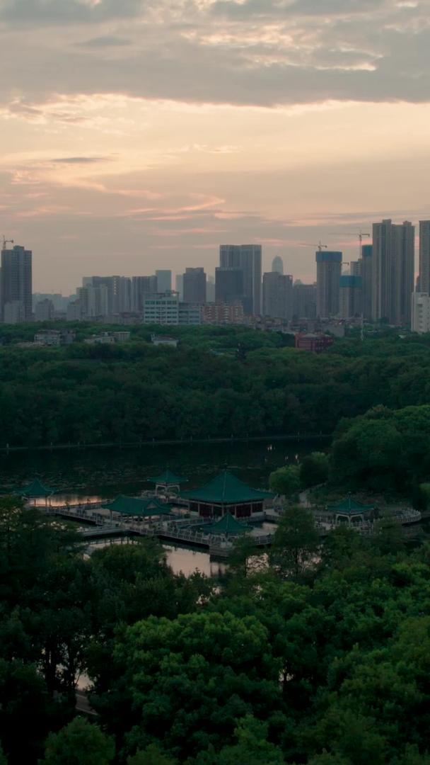 东湖碧潭观鱼景区与城市建筑在航拍晚霞下的融合视频的预览图