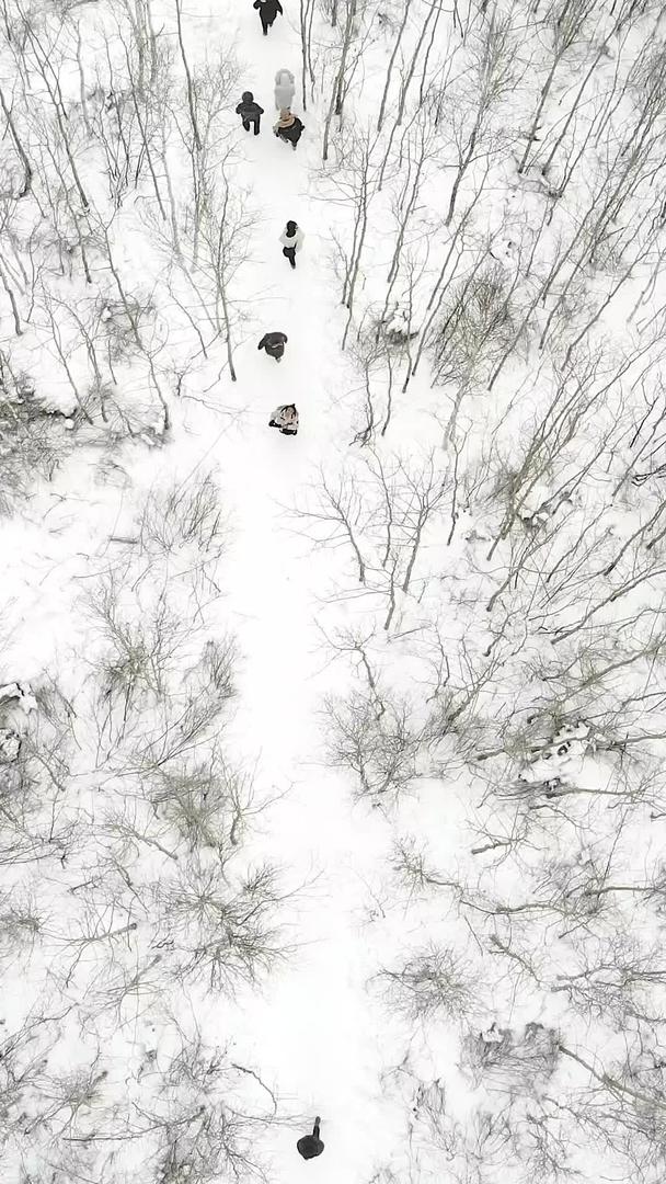 雪地白桦林航拍道路视频的预览图