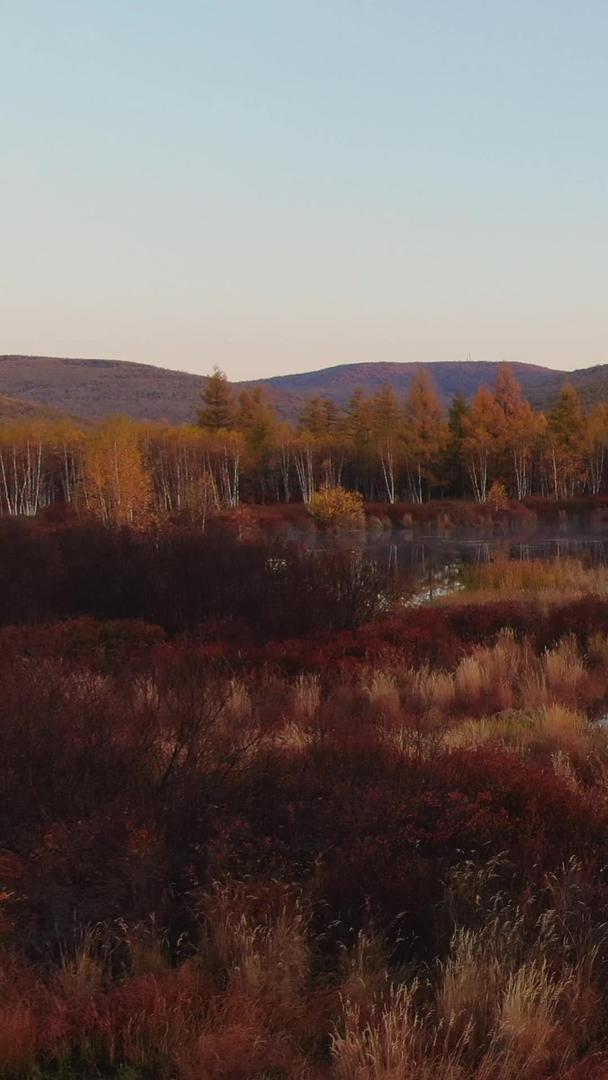 清晨大兴安岭原始森林中的湖泊航拍视频的预览图