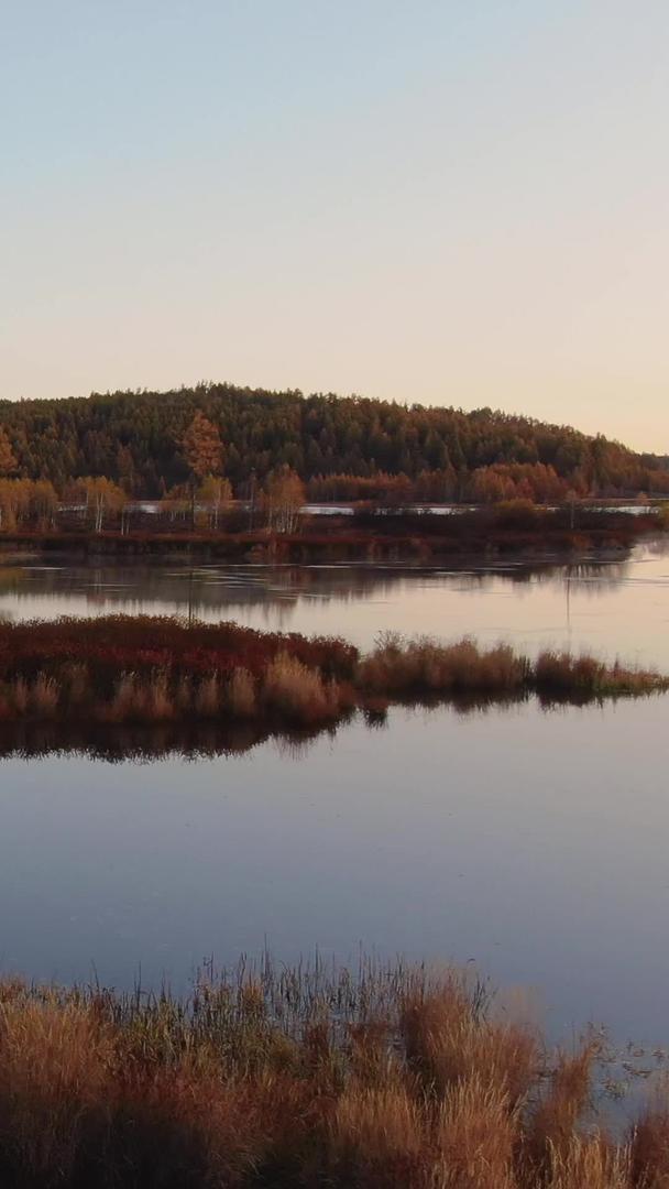 清晨大兴安岭原始森林中的湖泊航拍视频的预览图