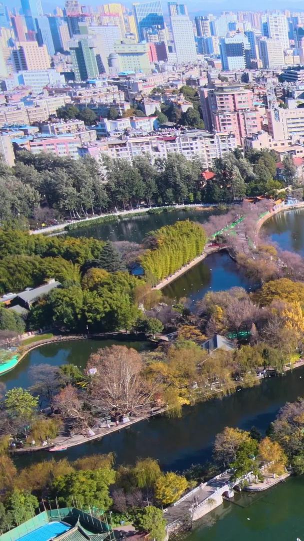 昆明城市翠湖公园人居环境海鸥风光航拍视频的预览图