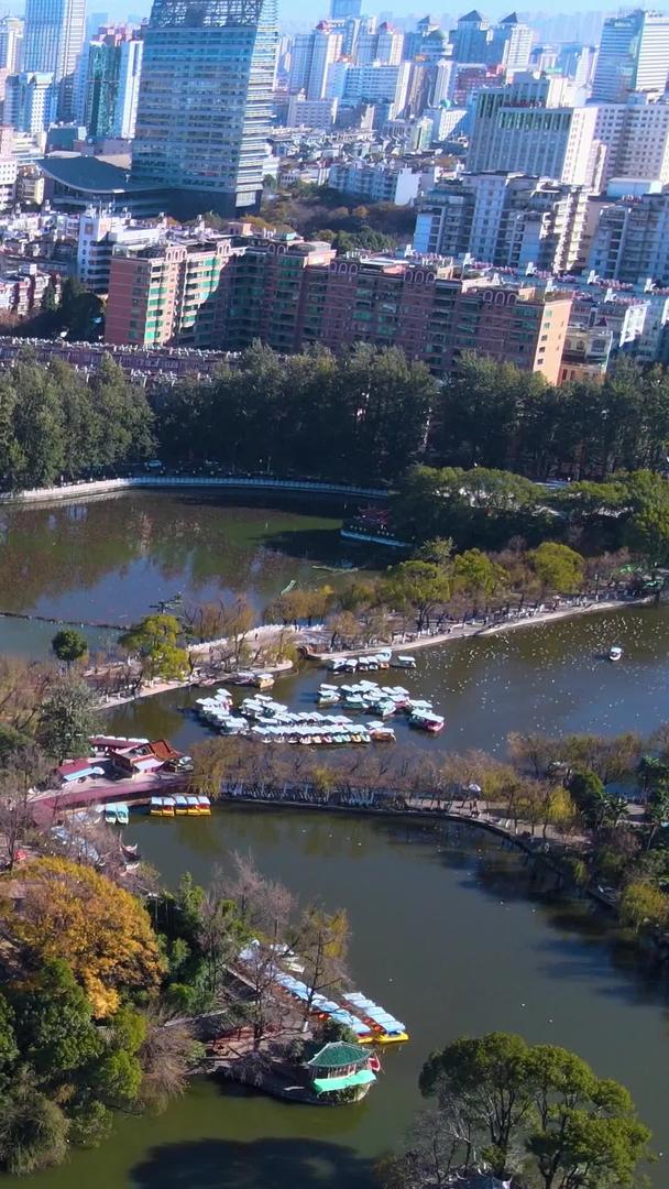 昆明城市翠湖公园人居环境海鸥风光航拍视频的预览图