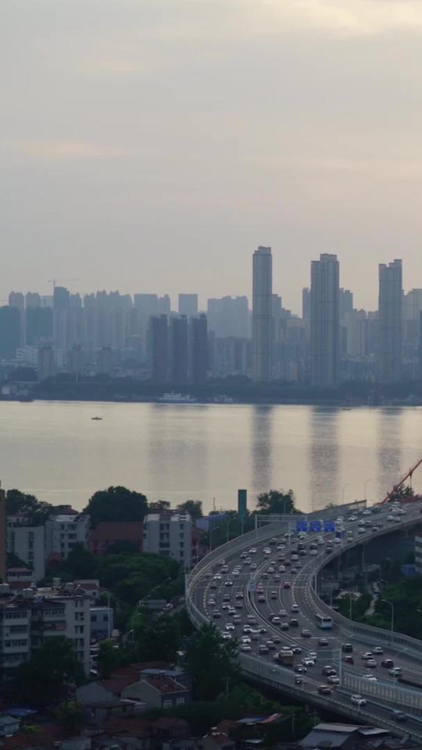 长江大桥武汉鹦鹉洲视频的预览图