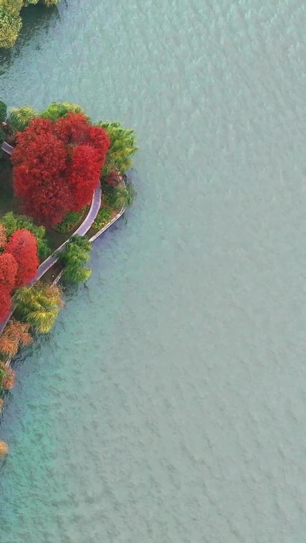 东湖湖心岛航拍高清视频视频的预览图