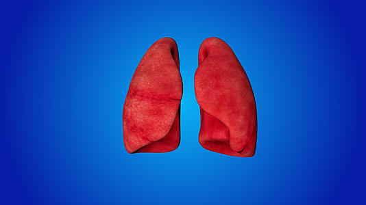 人体肺部动画背景视频视频的预览图