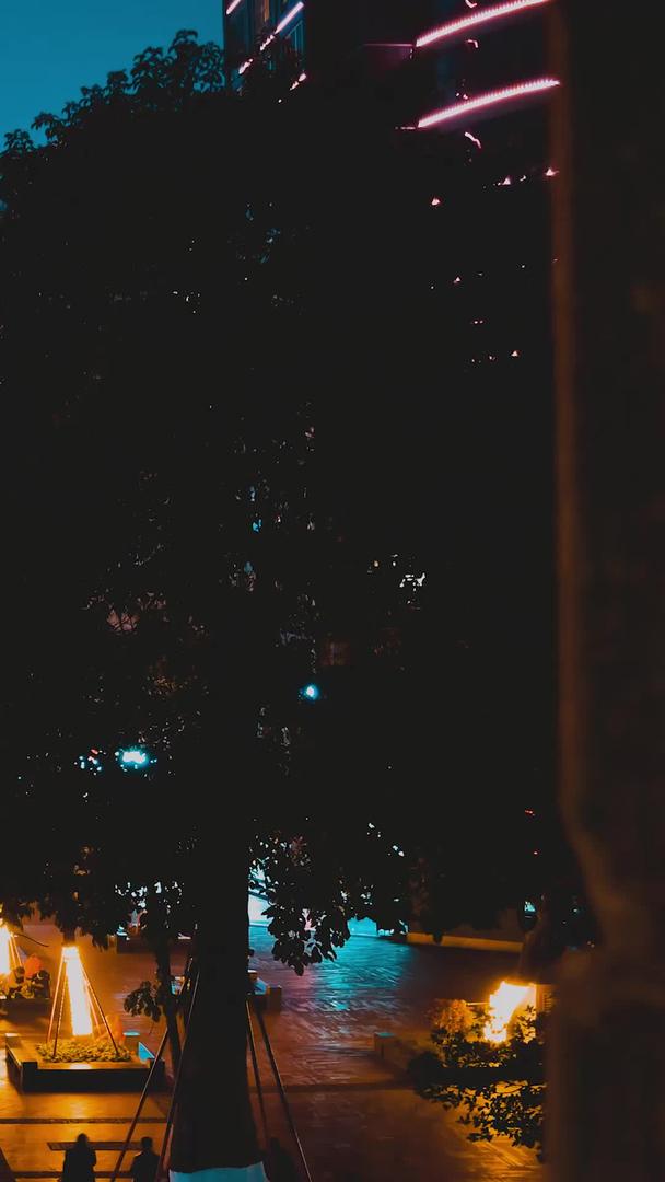 延时摄影夜景人流在东门城墙上视频的预览图