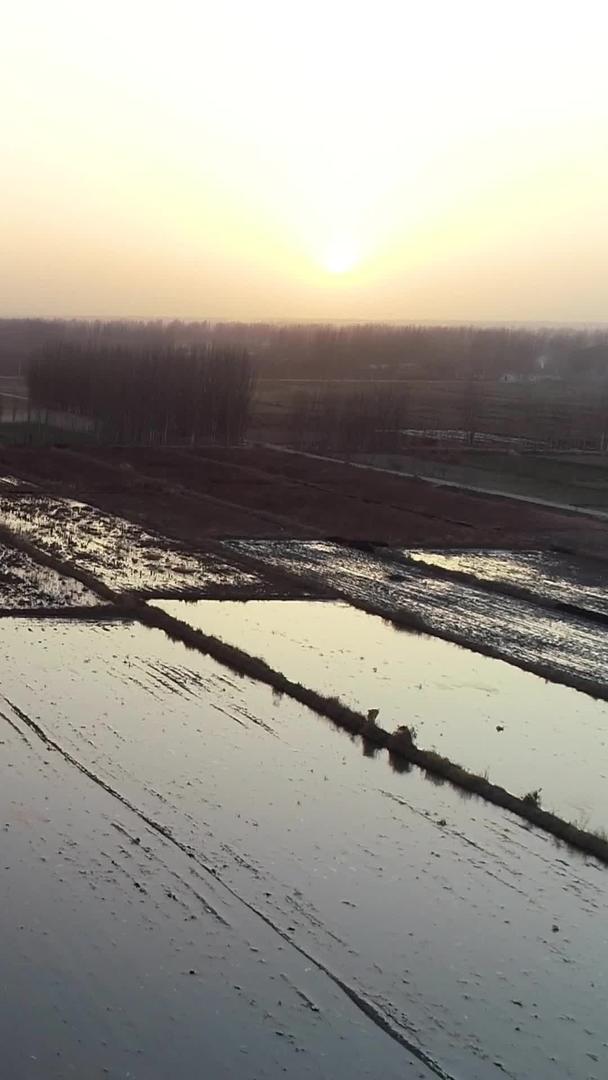 太阳下的水田农业航拍视频的预览图