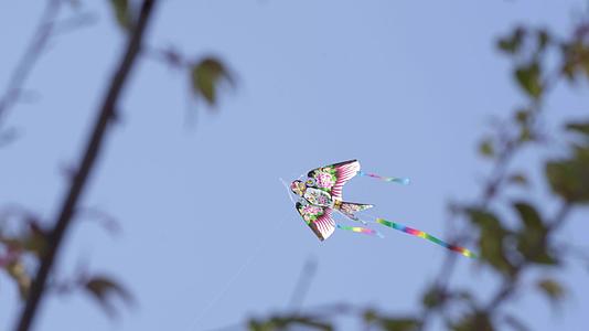 春暖花开的燕子风筝视频的预览图