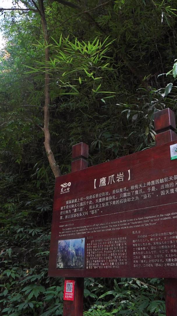 重庆黑山谷鹰爪岩国家5A级旅游景区视频的预览图