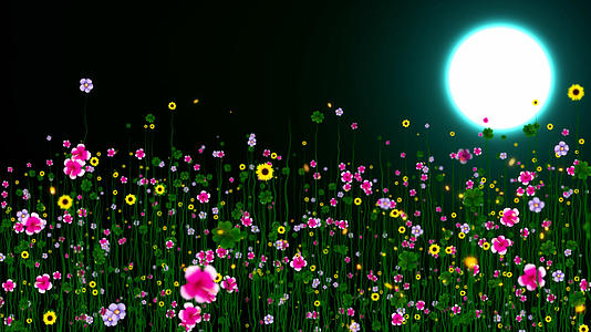 4K唯美的花草生长背景素材视频的预览图