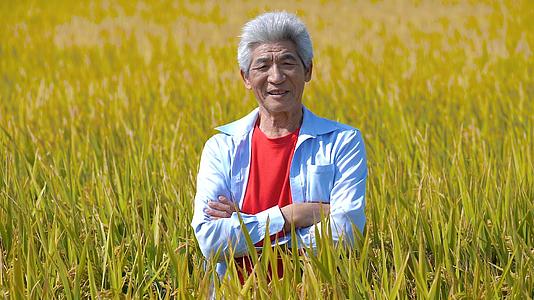 农民在水稻田里抱胸微笑形象视频的预览图
