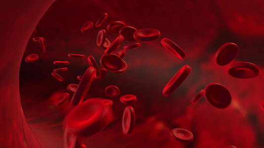 动画动脉中的红细胞在体内流动视频的预览图