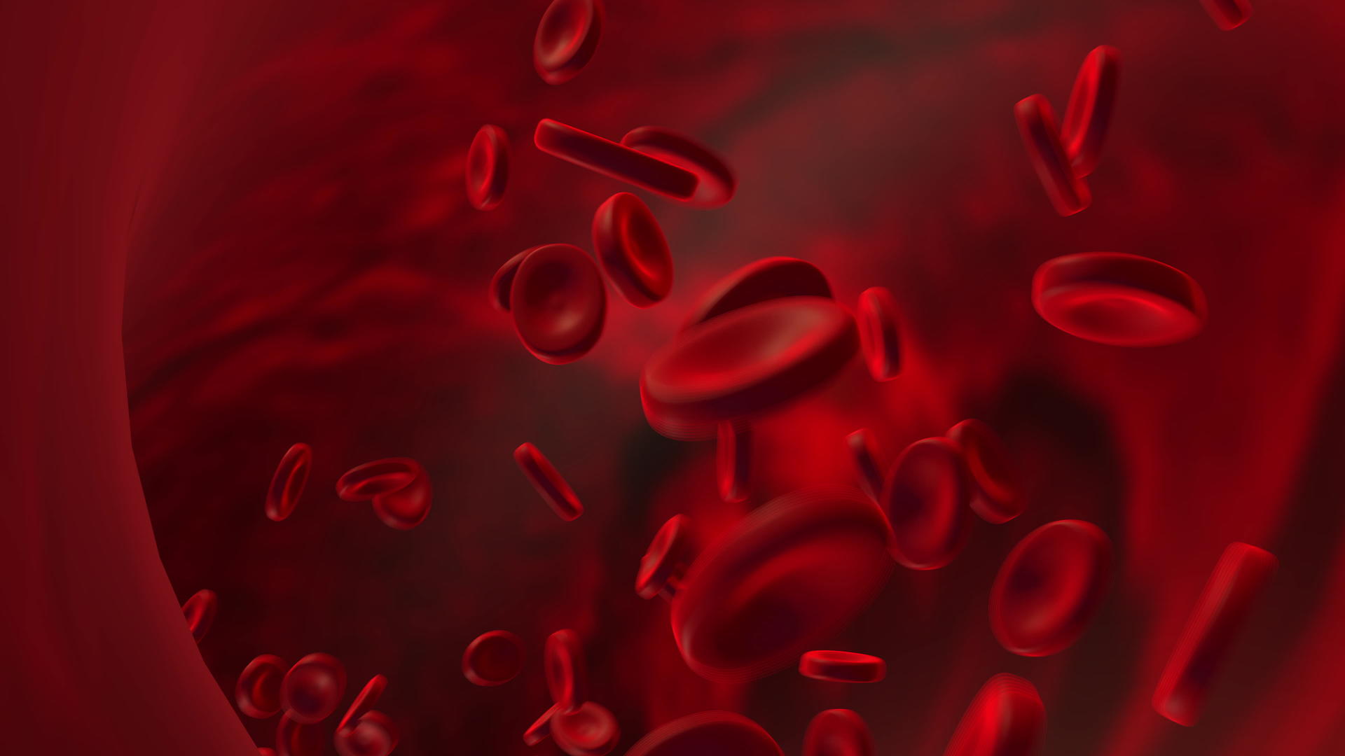 动画动脉中的红细胞在体内流动视频的预览图