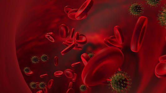 血液中的绿色动画动脉中的红细胞在体内流动视频的预览图