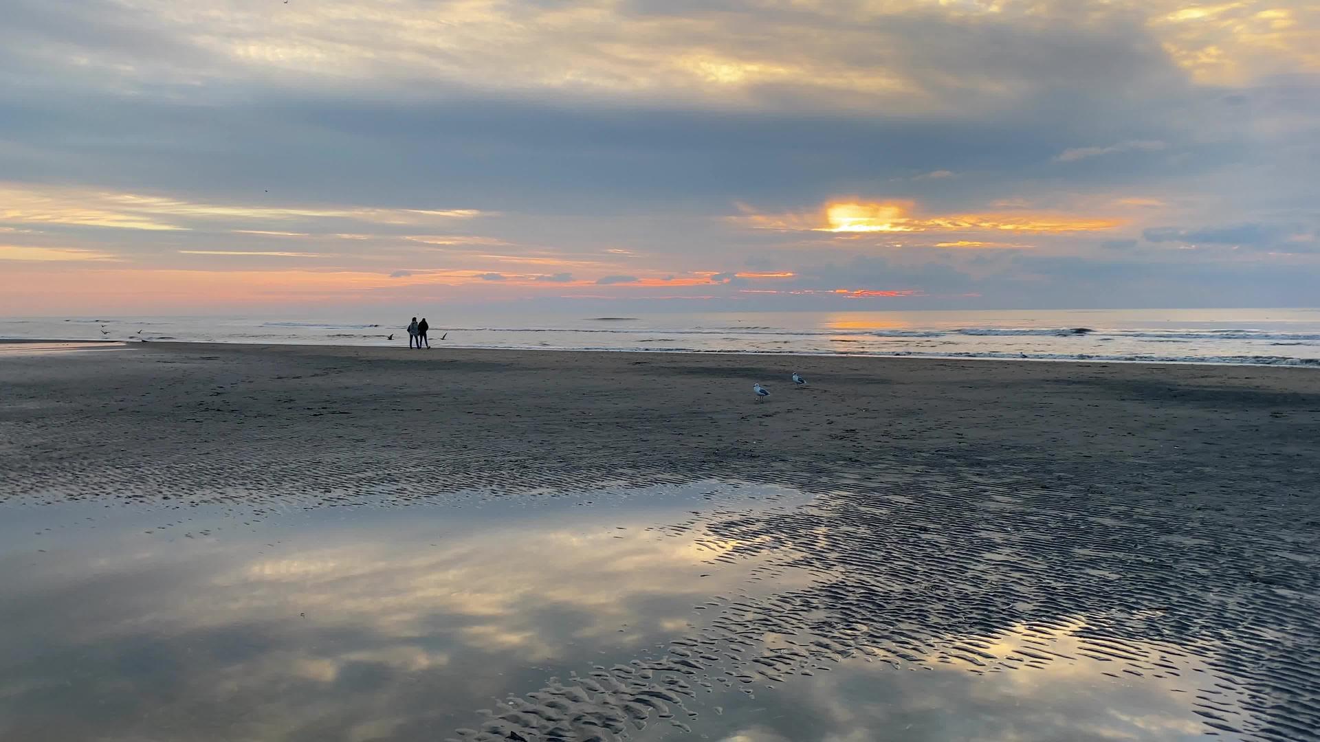 赞德沃特海滩日落视频的预览图