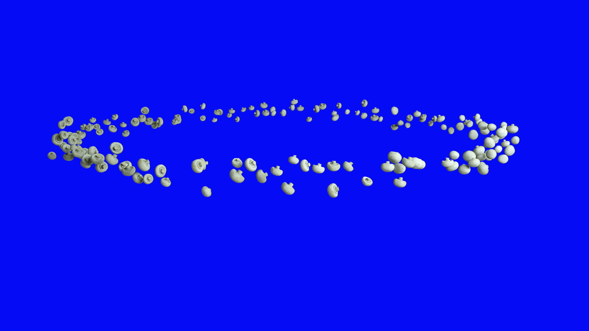 白蘑菇在圆圈中飞行无缝地环绕着蓝屏染色体视频的预览图