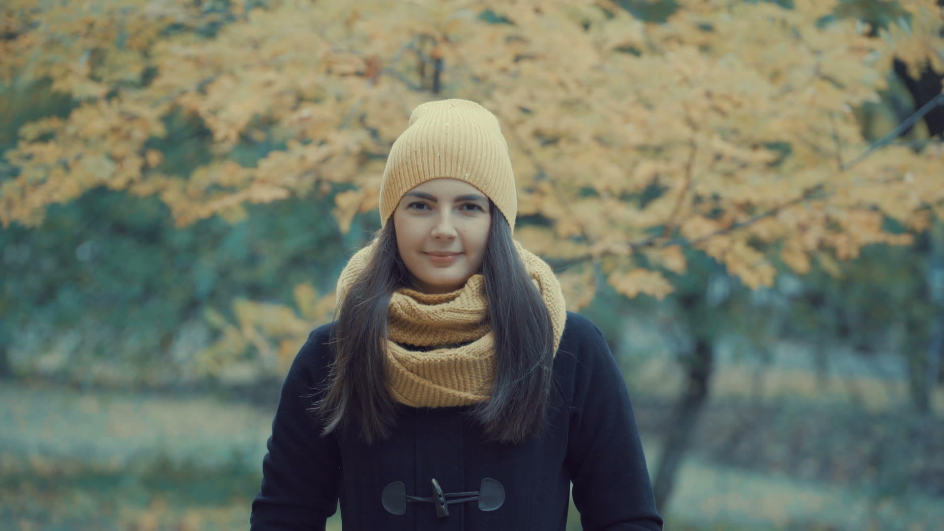 秋天公园里一个漂亮女孩的肖像年轻女子穿着外套和帽子视频的预览图