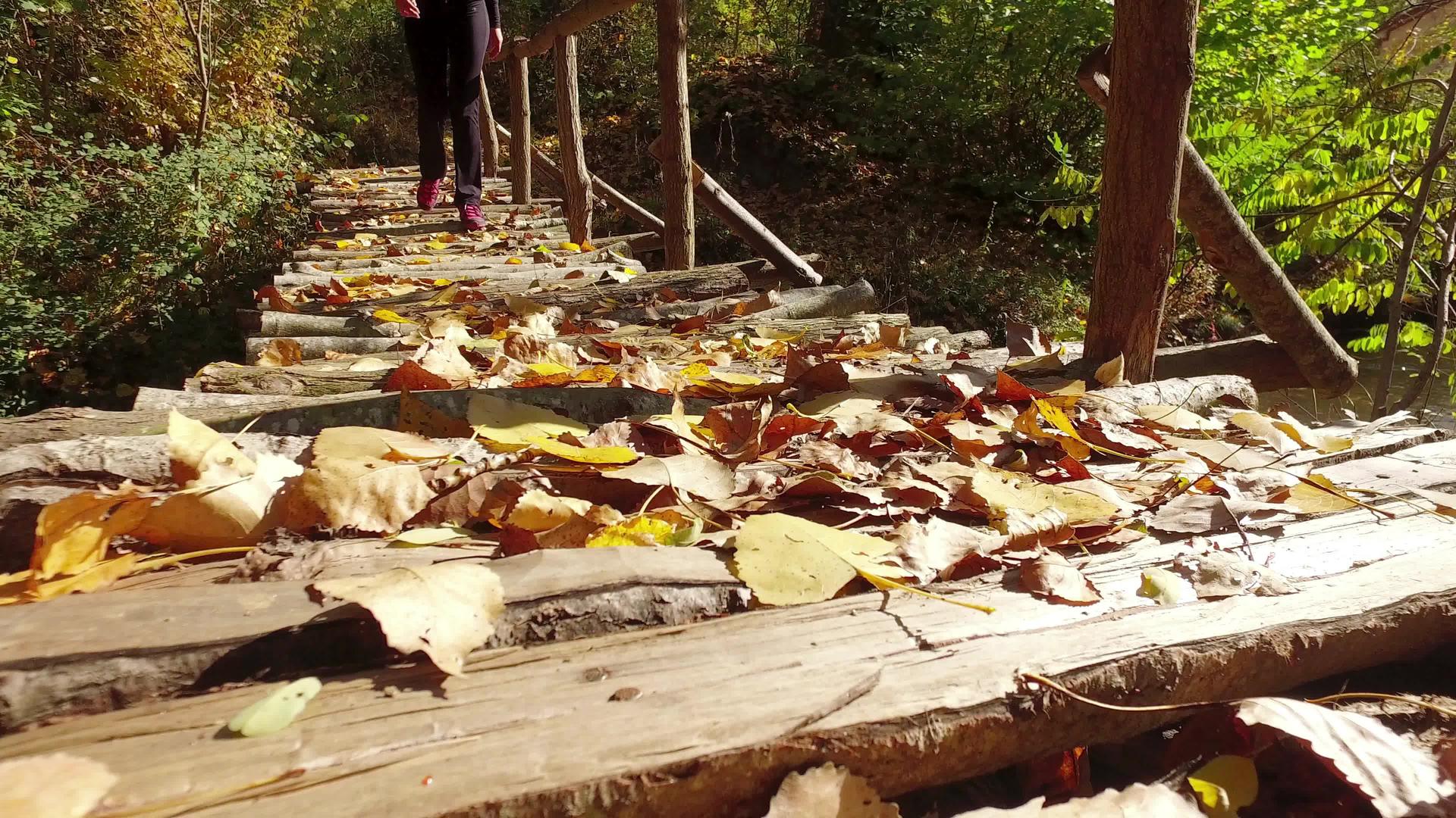 走在木桥上走在秋叶和前视的前面视频的预览图