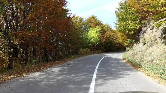 第一个视角是在乡村道路上开车秋树旁有五颜六色的秋树视频的预览图