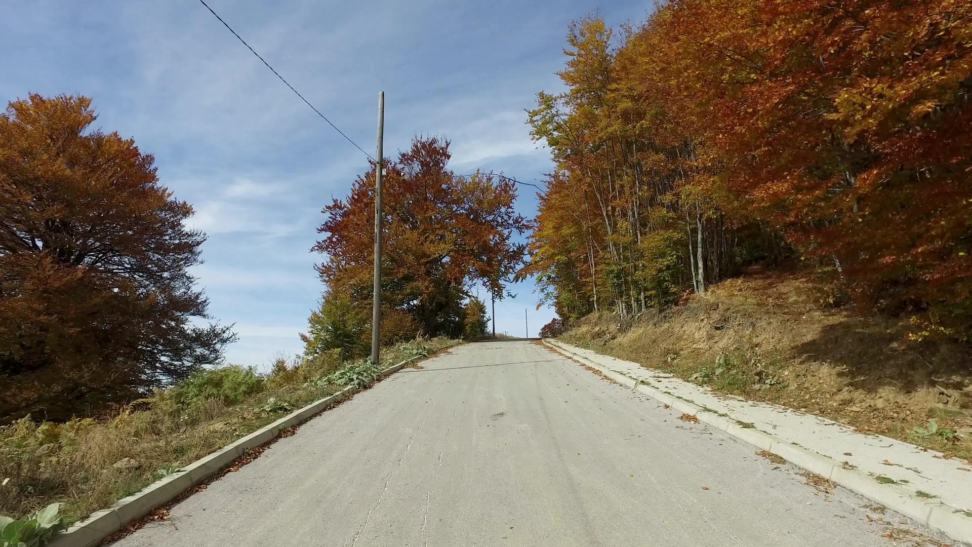 第一个视角是在乡村道路上开车秋树旁有五颜六色的秋树视频的预览图