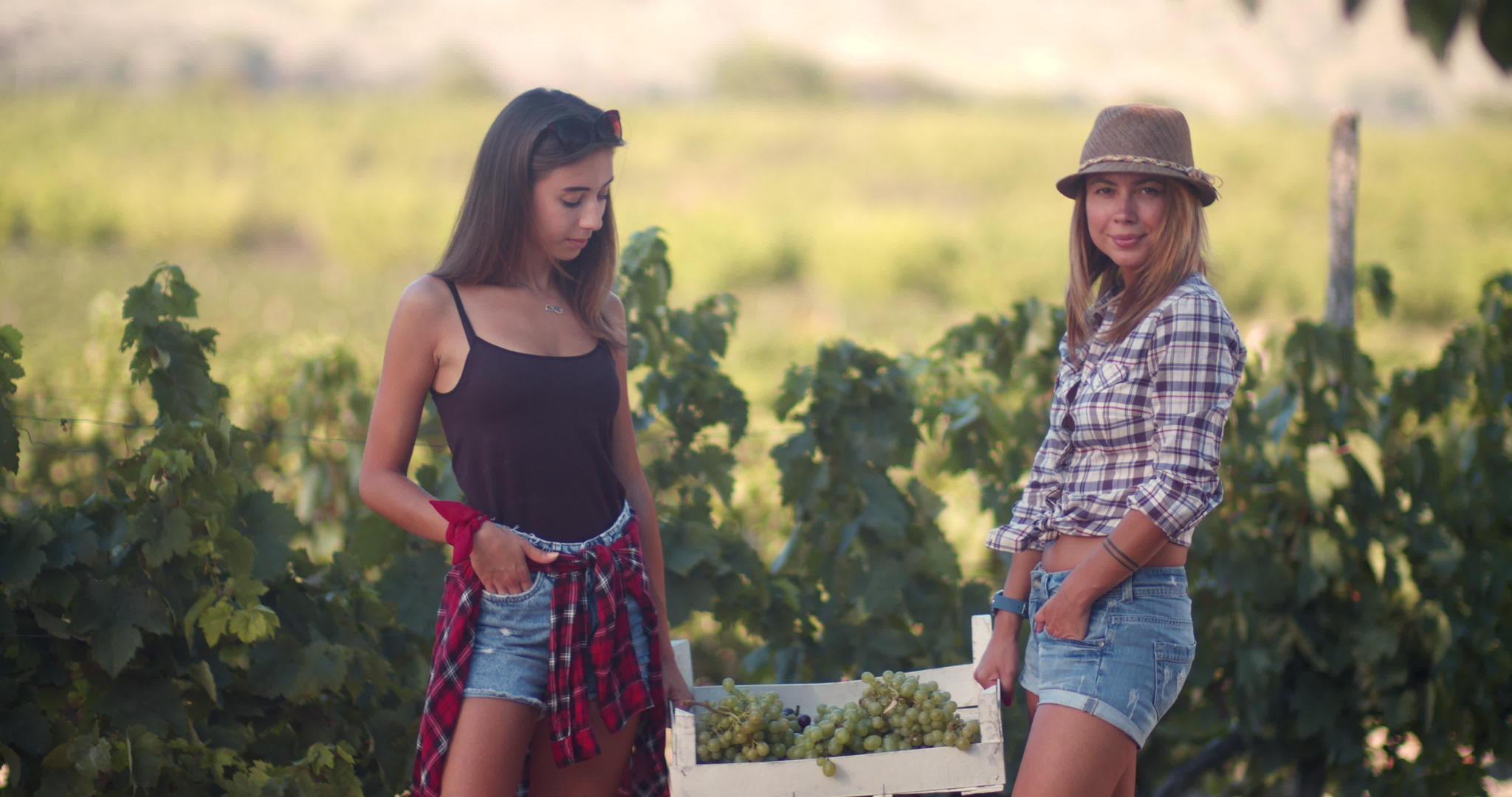 葡萄园里有两个女朋友拿着白盒子和葡萄视频的预览图