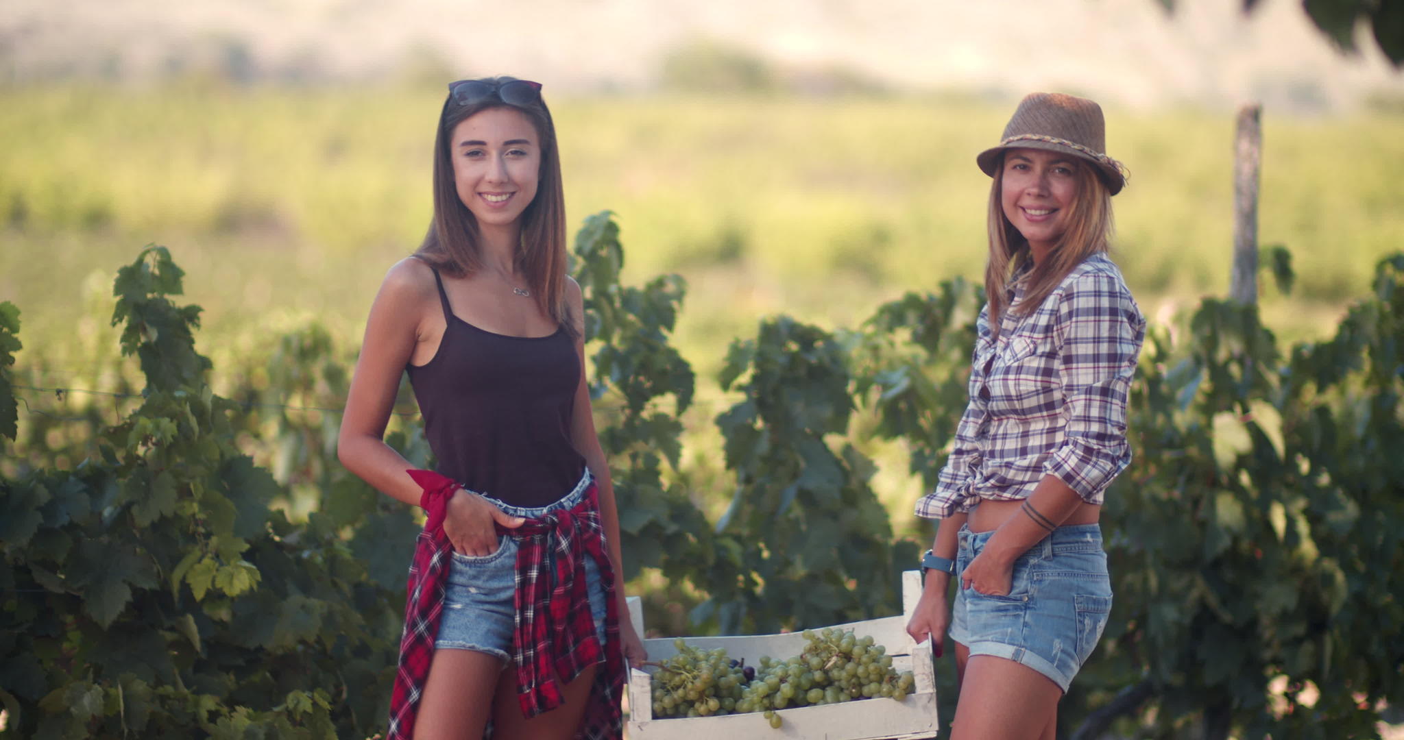 葡萄园里有两个女朋友拿着白盒子和葡萄视频的预览图