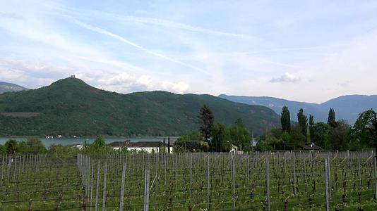 南特罗尔意大利州南卡尔顿湖的葡萄酒视频的预览图