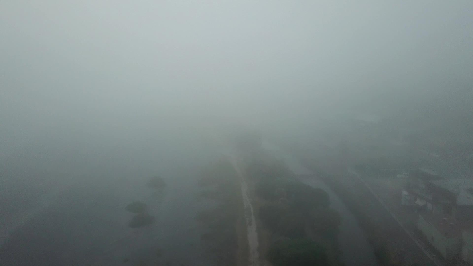 早上在南岛Kaikoura看到重风雾视频的预览图