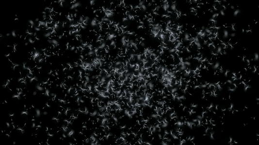 抽象爆炸的空间dandelion视频的预览图