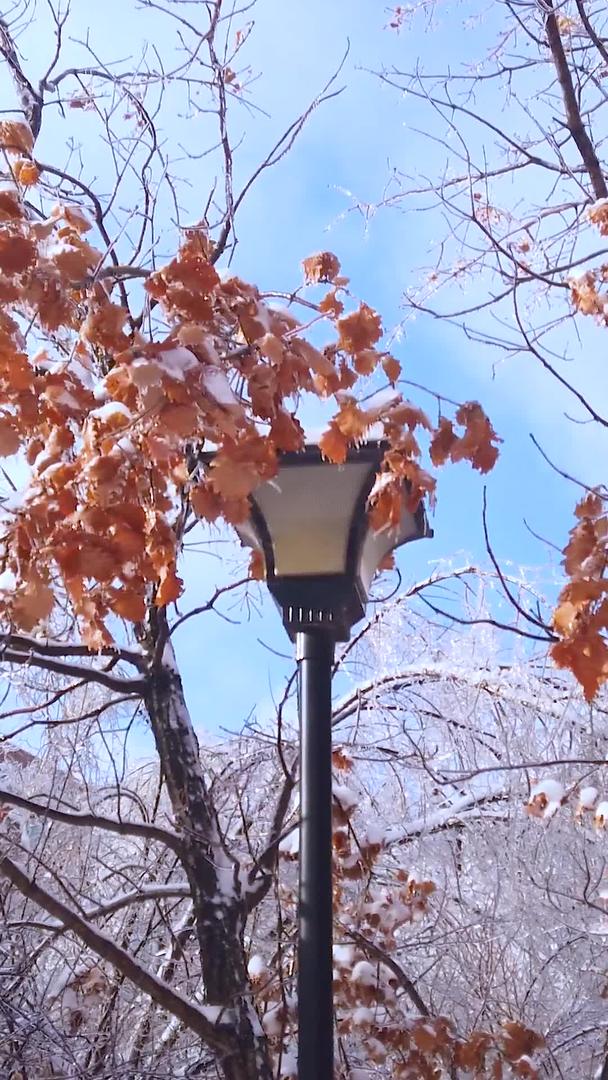 拍摄美丽的冬季镜头雪花覆盖的路灯视频的预览图