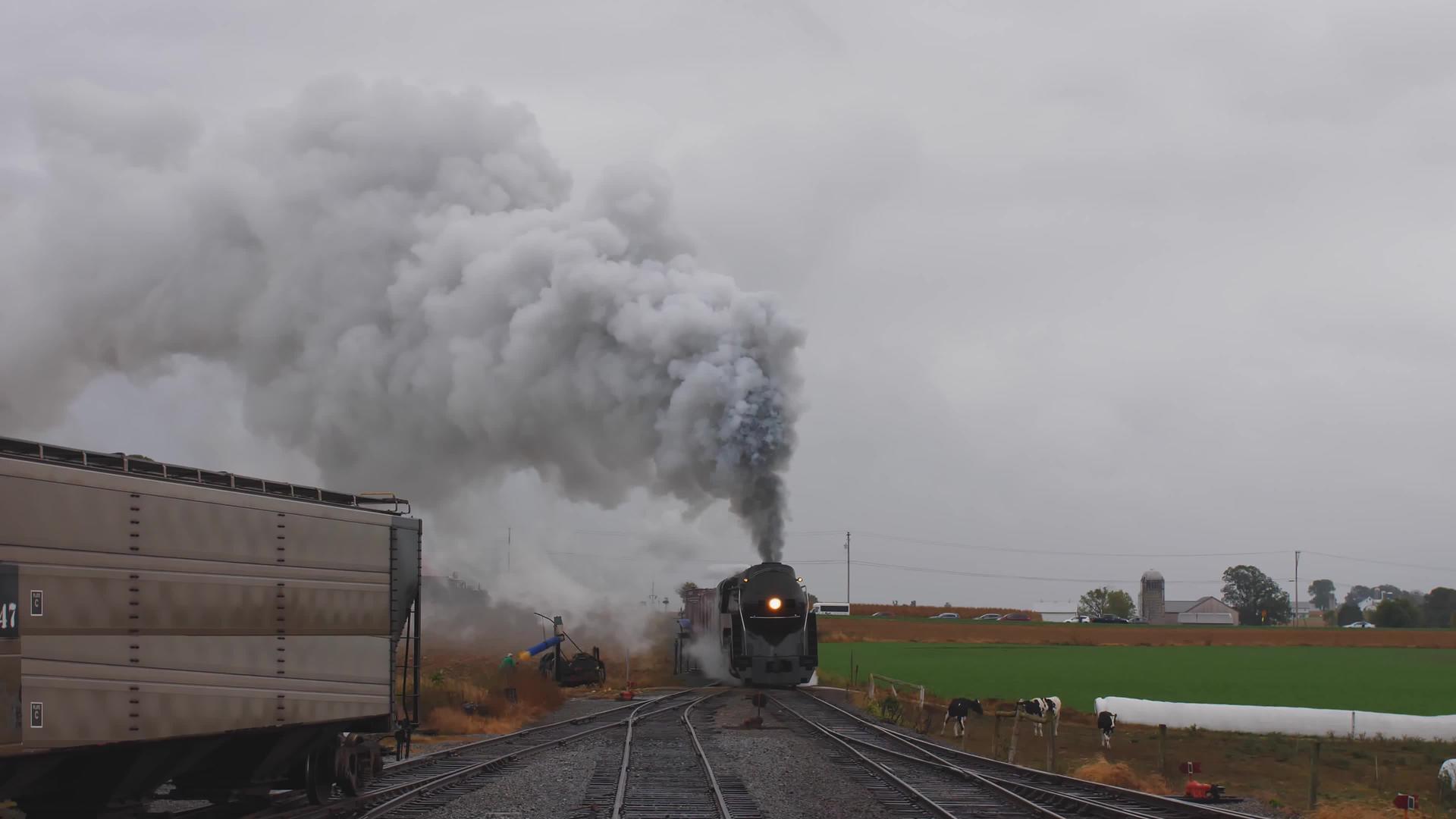 看到一辆蒸汽机车把货物拖进院子牛也看着烟和蒸汽视频的预览图
