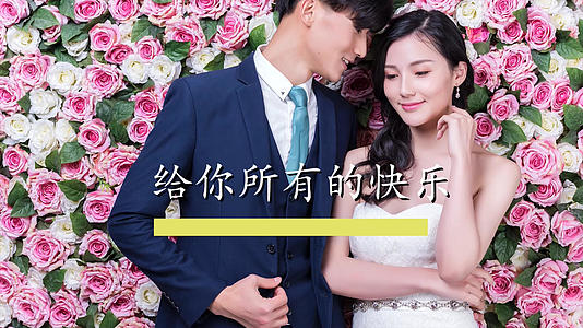 清新浪漫婚礼相册pr模板视频的预览图