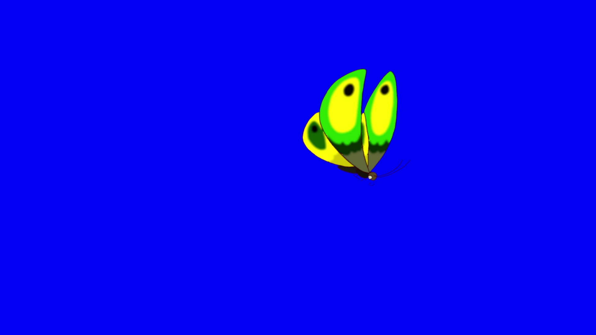 绿色蝴蝶飞回染色体键视频的预览图