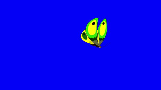 绿色的蝴蝶飞进来带着染色键进来视频的预览图