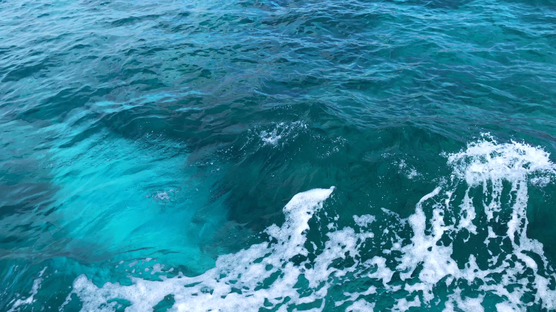 地中海海洋视频的预览图