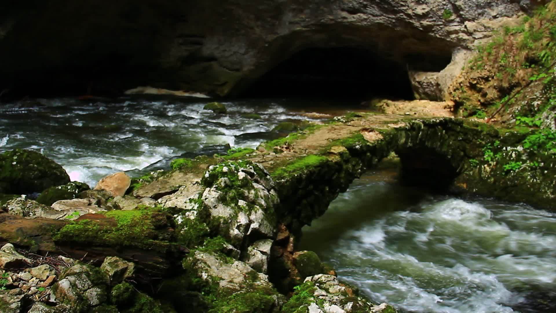 自然界的旧石桥视频的预览图