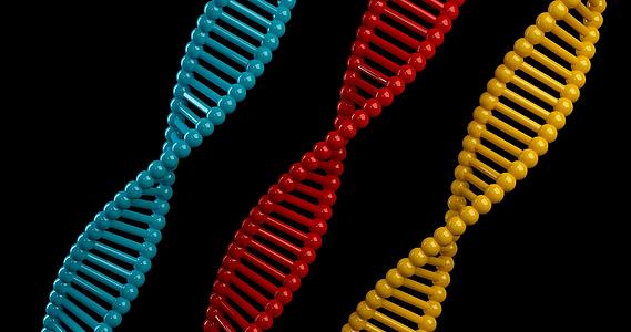 蓝色和红色的分子背景是一个科学概念视频的预览图